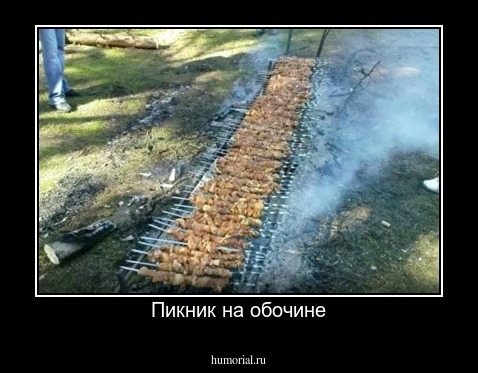 Пикник на обочине