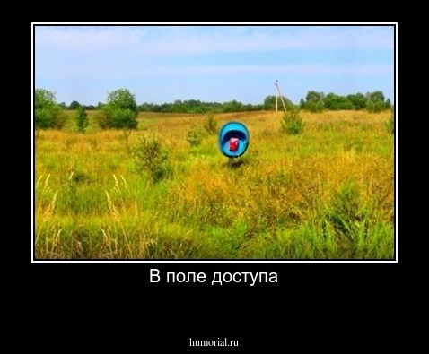 В поле доступа
