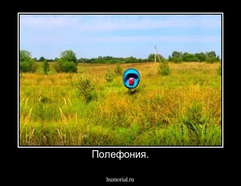 Полефония.