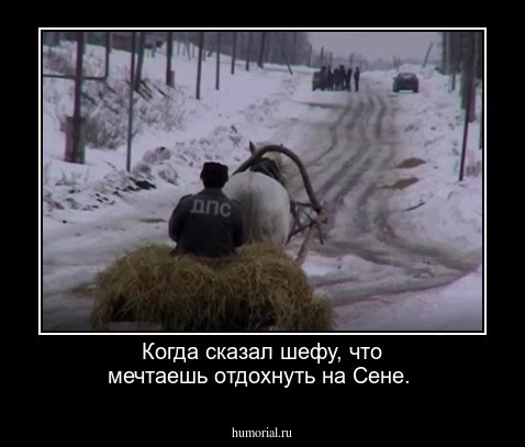 Когда сказал шефу, что мечтаешь отдохнуть на Сене.