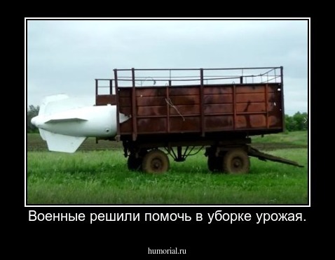 Военные решили помочь в уборке урожая.