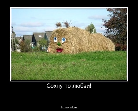 Сохну по любви!
