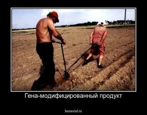 Гена-модифицированный продукт