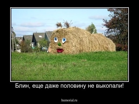 Блин, еще даже половину не выкопали!