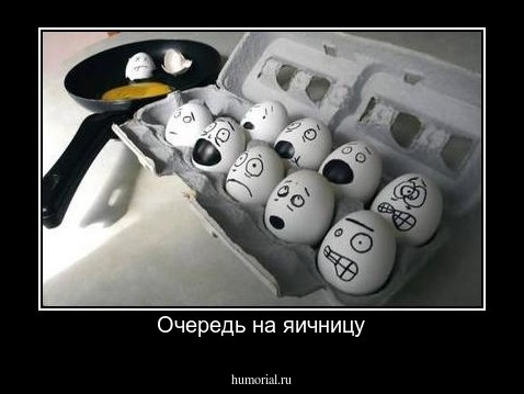 Очередь на яичницу