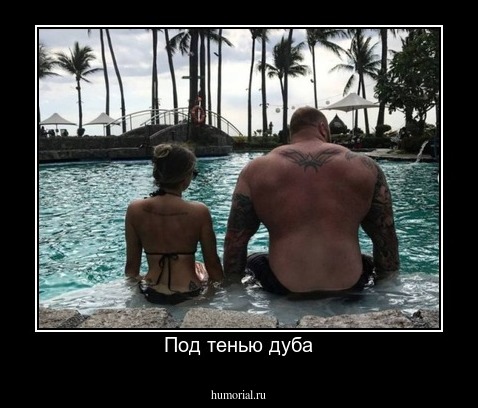Под тенью дуба