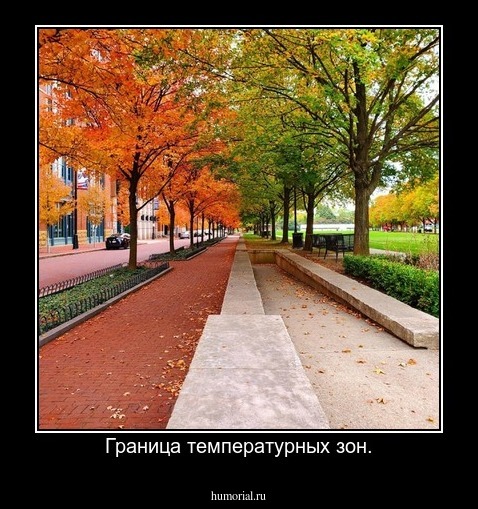 Граница температурных зон.