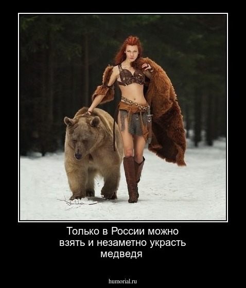 Только в России можно взять и незаметно украсть медведя