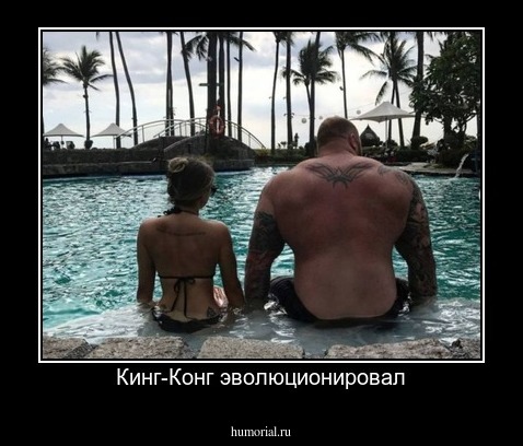 Кинг-Конг эволюционировал