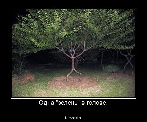 Одна "зелень" в голове.
