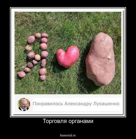 Торговля органами