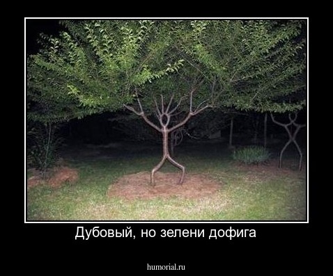 Дубовый, но зелени дофига