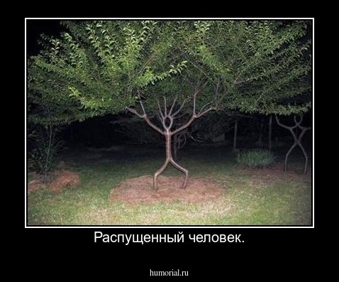 Распущенный человек.