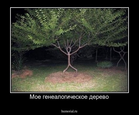 Мое генеалогическое дерево