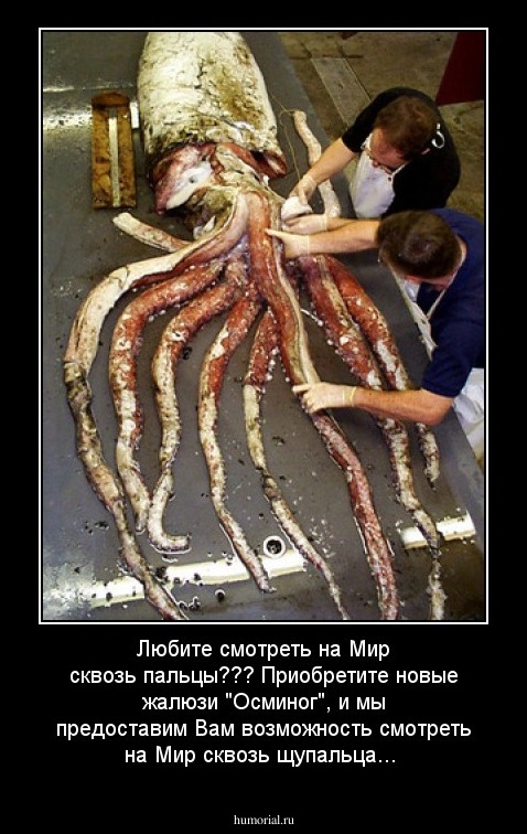 Любите смотреть на Мир сквозь пальцы??? Приобретите новые жалюзи "Осминог", и мы предоставим Вам возможность смотреть на Мир сквозь щупальца...
