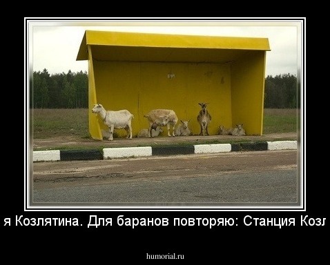 Станция Козлятина. Для баранов повторяю: Станция Козлятина. 