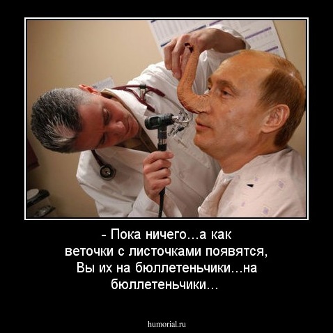- Пока ничего...а как веточки с листочками появятся, Вы их на бюллетеньчики...на бюллетеньчики...
