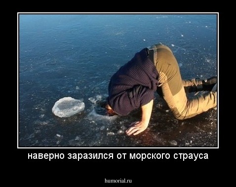наверно заразился от морского страуса