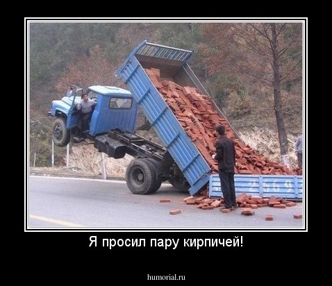 Я просил пару кирпичей!