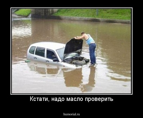 Кстати, надо масло проверить