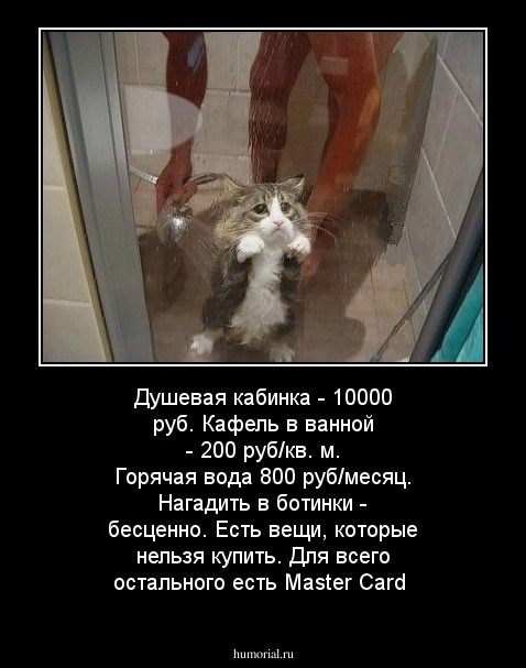 Душевая кабинка - 10000 руб. Кафель в ванной - 200 руб/кв. м. Горячая вода 800 руб/месяц. Нагадить в ботинки - бесценно. Есть вещи, которые нельзя купить. Для всего остального есть Master Card