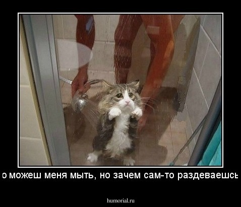 ладно можеш меня мыть, но зачем сам-то раздеваешсья?!?!