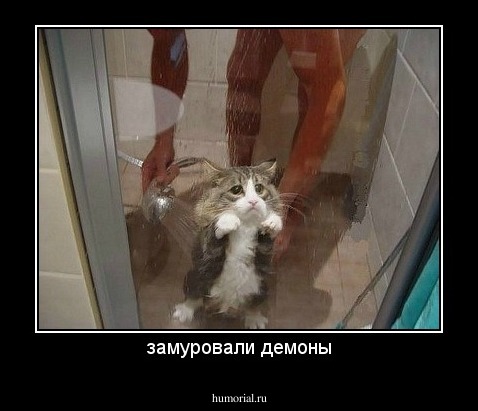 замуровали демоны