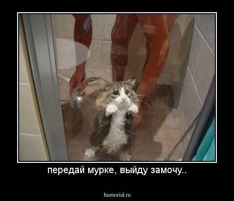 передай мурке, выйду замочу..