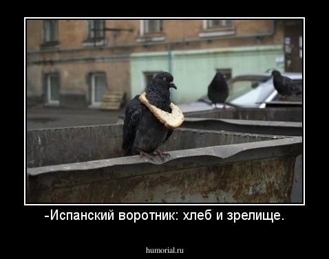 -Испанский воротник: хлеб и зрелище.