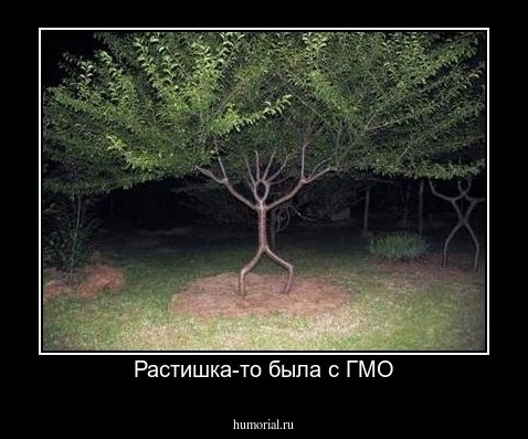 Растишка-то была с ГМО