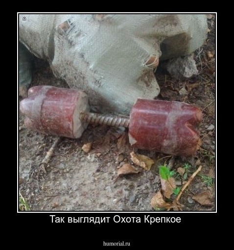Так выглядит Охота Крепкое 