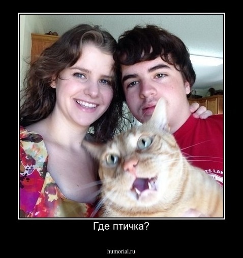 Где птичка?