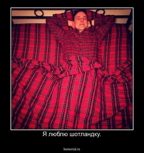 Я люблю шотландку.