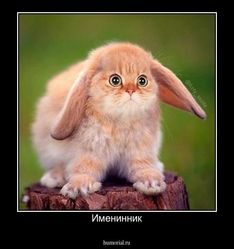 Именинник