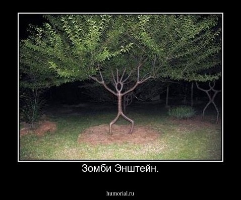 Зомби Энштейн.