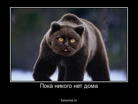 Пока никого нет дома