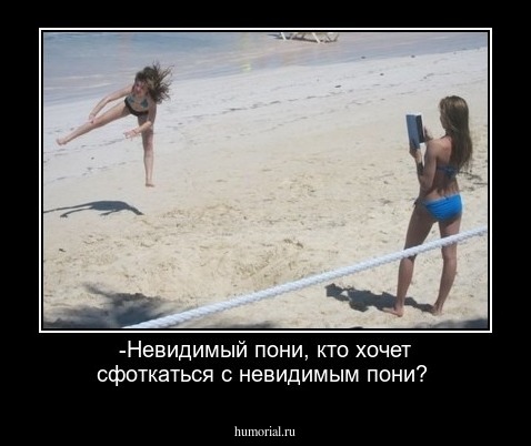 -Невидимый пони, кто хочет сфоткаться с невидимым пони?