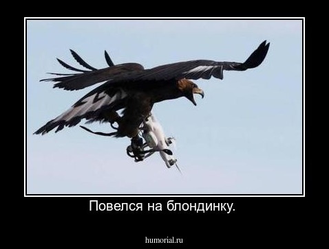 Повелся на блондинку. 