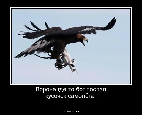 Вороне где-то бог послал кусочек самолёта