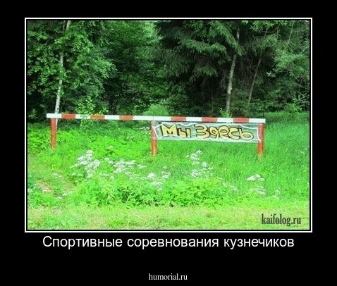Спортивные соревнования кузнечиков
