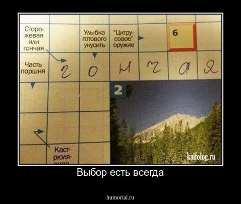 Выбор есть всегда
