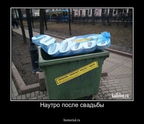 Наутро после свадьбы