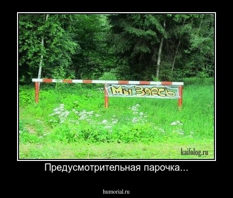 Предусмотрительная парочка...