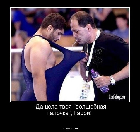 -Да цела твоя "волшебная палочка", Гарри!