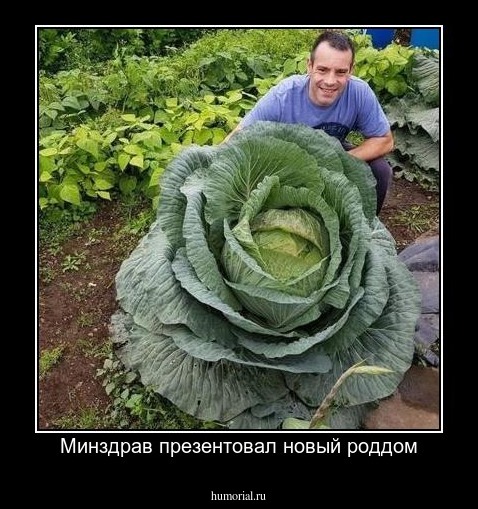 Минздрав презентовал новый роддом