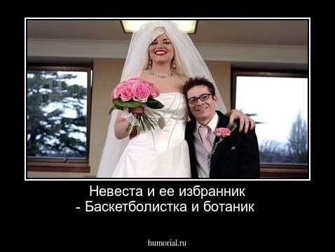 Невеста и ее избранник -
Баскетболистка и ботаник