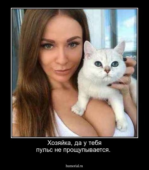 Хозяйка, да у тебя пульс не прощупывается.