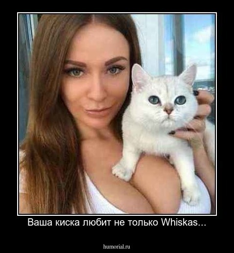 Ваша киска любит не только Whiskas...