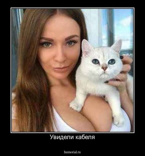 Увидели кабеля