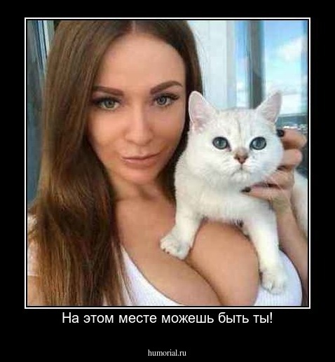 На этом месте можешь быть ты!
